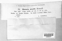 Image Associated With the Occurrence